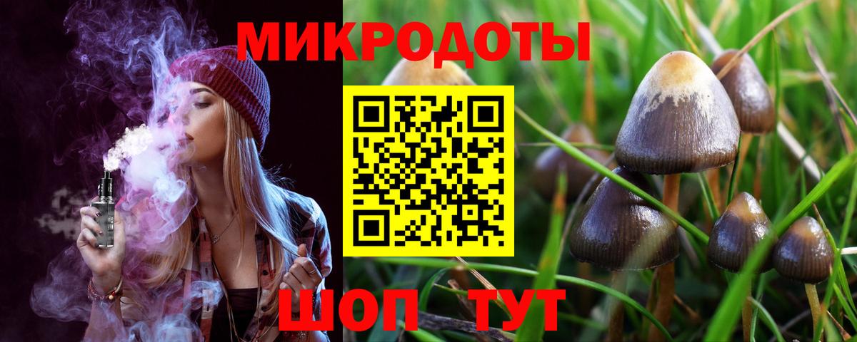 Псилоцибиновые грибы MAGIC MUSHROOMS Киселёвск