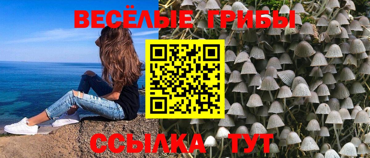 Киселёвск  Псилоцибиновые грибы Magic Shrooms  Вход с VPN 